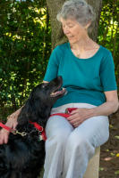 Copyright 2025 Laurence L. Levin 