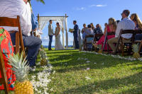 Copyright 2025 Laurence L. Levin 