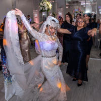 Copyright 2025 Laurence L. Levin 